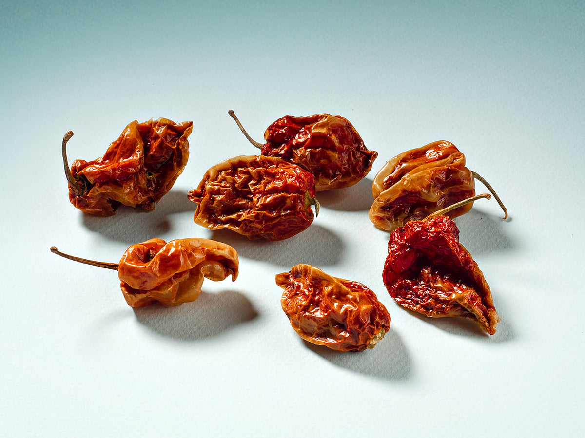 Celá červená Savina Habanero čili paprička 10g
