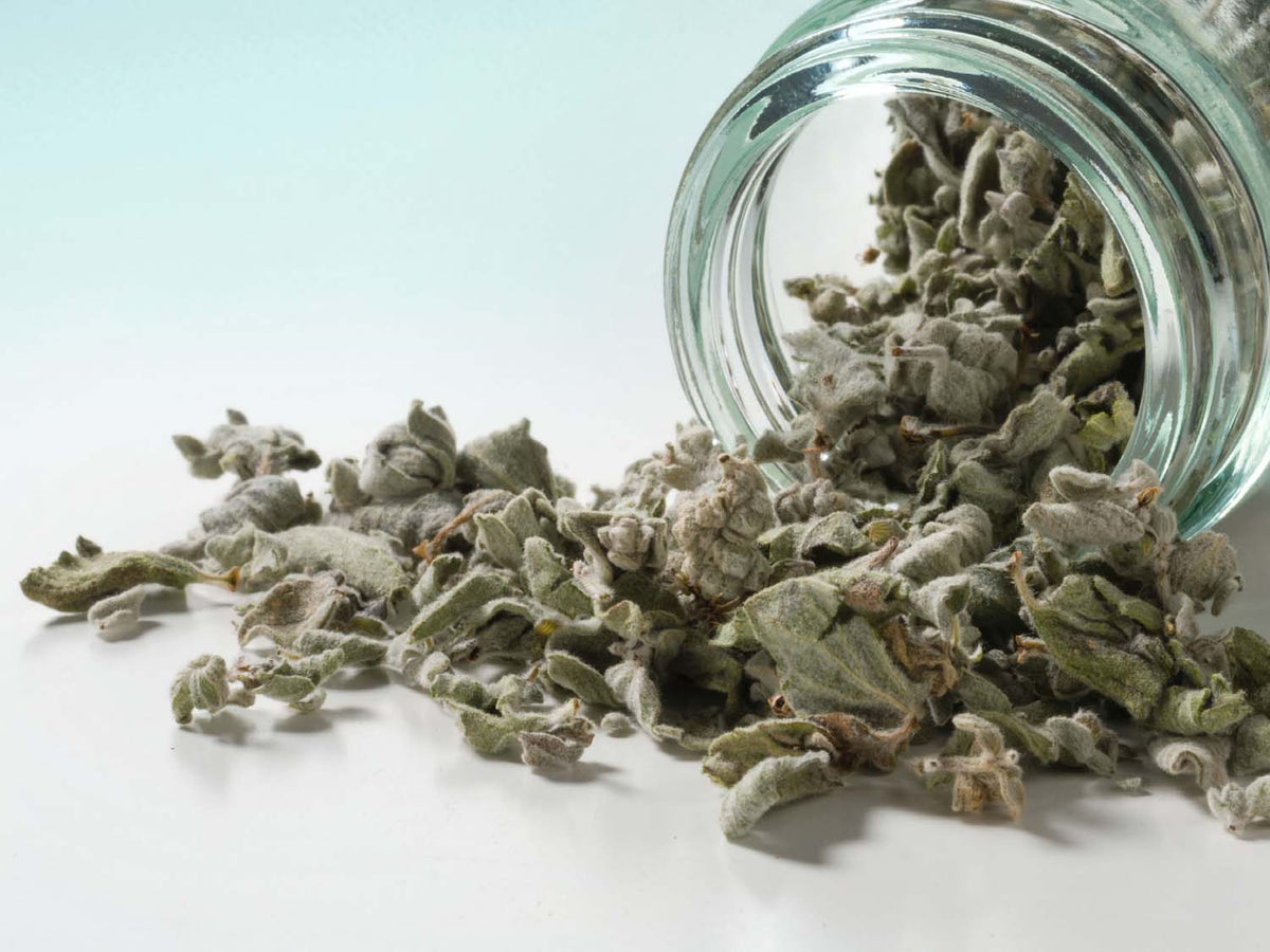 Listy Dittany Cretico 10g