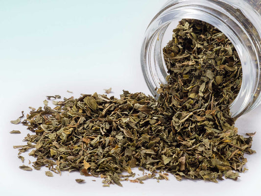 Catmint 20 g