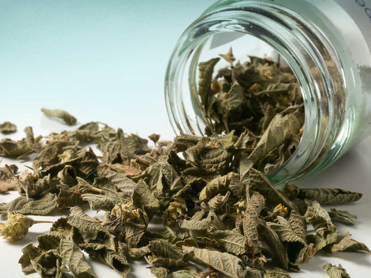 Mexické oregano 10 g